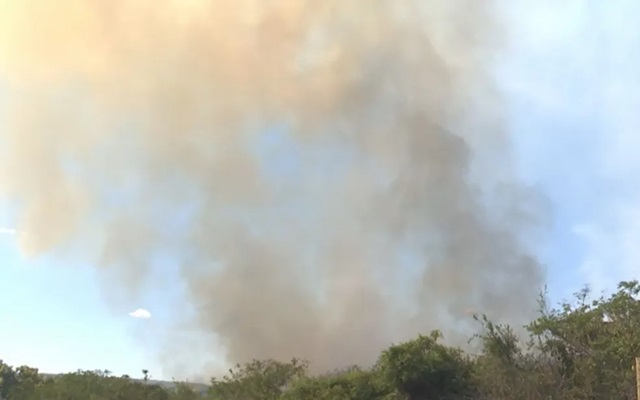 Incêndio atinge Parque da Serra do Periperi no sudoeste da Bahia ReproduçãoTV Bahia