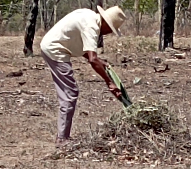 seca na zona rural de feira de santana ft STR2