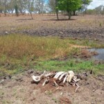 seca na zona rural de feira de santana ft STR2