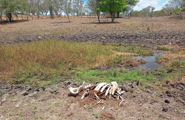 seca na zona rural de feira de santana ft STR2