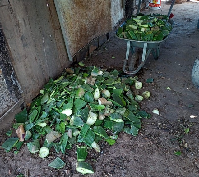 seca na zona rural de feira de santana ft STR2