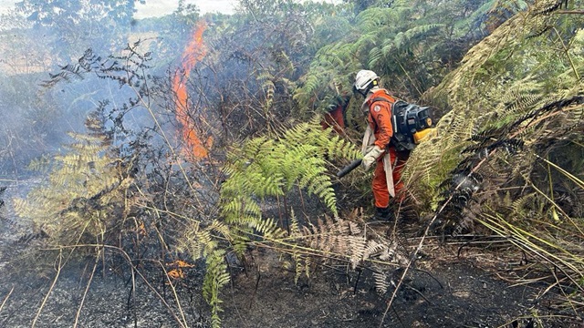 Foto: Corpo de Bombeiros Militares da Bahia