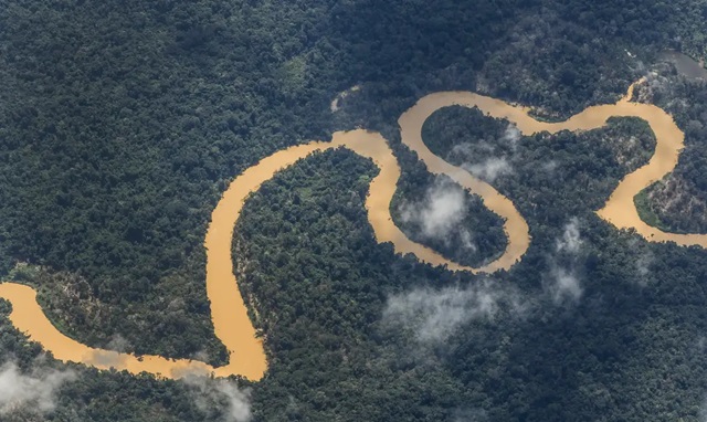 Floresta Amazônica ft Fernando Frazão ag brasil