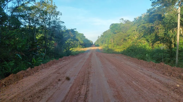 BR-319 FotoRede Amazônica