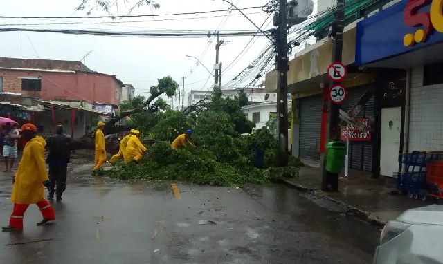 Foto: Prefeitura de Recife/ Twitter