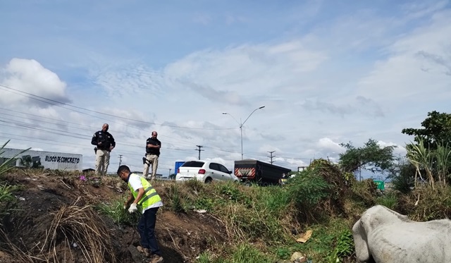 operação rodovida - recolhimento de animais - ft operação rodovida8