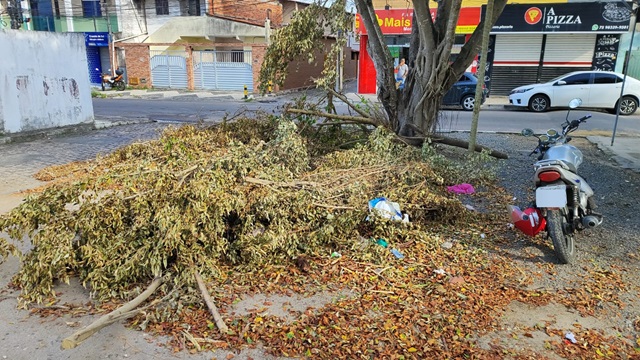 Praça na Cidade Nova Ruas d e E - poda - falta de limpeza - ft ed santos acorda cidade3