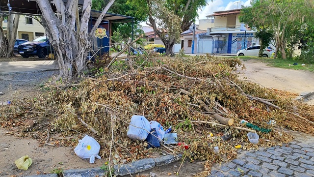 Praça na Cidade Nova Ruas d e E - poda - falta de limpeza - ft ed santos acorda cidade3