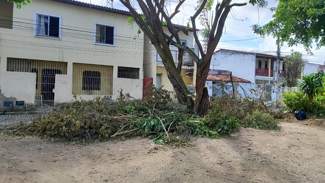 Praça na Cidade Nova Ruas d e E - poda - falta de limpeza - ft ed santos acorda cidade3