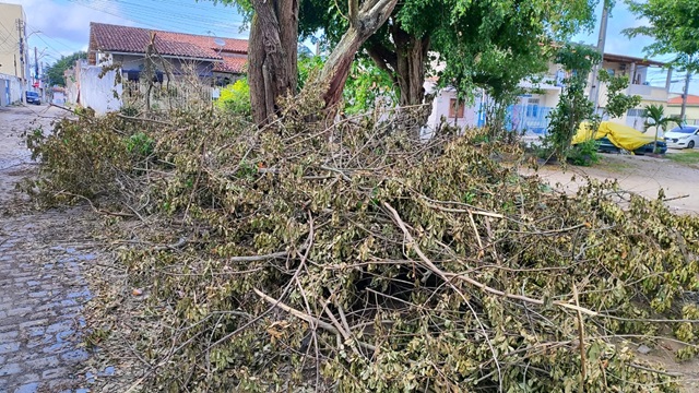 Praça na Cidade Nova Ruas d e E - poda - falta de limpeza - ft ed santos acorda cidade3