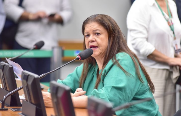 Foto: Zeca Ribeiro / Câmara dos Deputados
