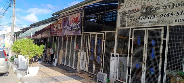 Floristas da Olímpio Vital em feira de santana ft paulo josé acorda cidade3