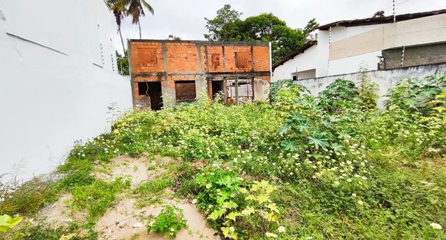 terrenos baldios na rua dos agrônomos - bairro tomba ft ed santos acorda cidade