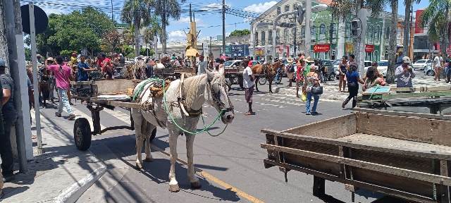 Manifestação carroceiros