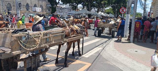 Manifestação carroceiros