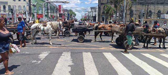 Manifestação carroceiros