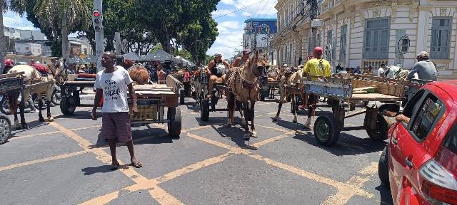 Manifestação carroceiros