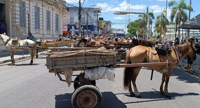 Manifestação carroceiros