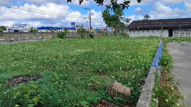 Centro Social Urbano- Cidade Nova