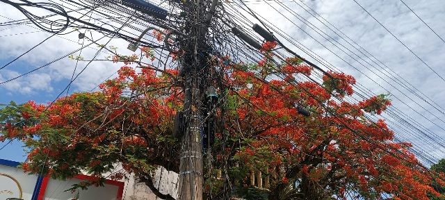 Fiação centro da cidade