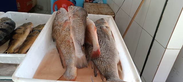 Peixes