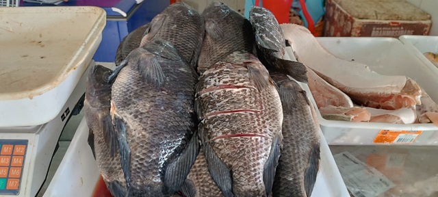 Peixes