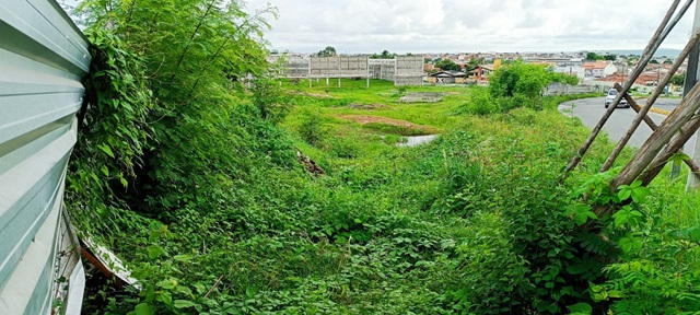 moradores do bairro muchila reclamam de terreno baldio ft paulo josé acorda cidade1