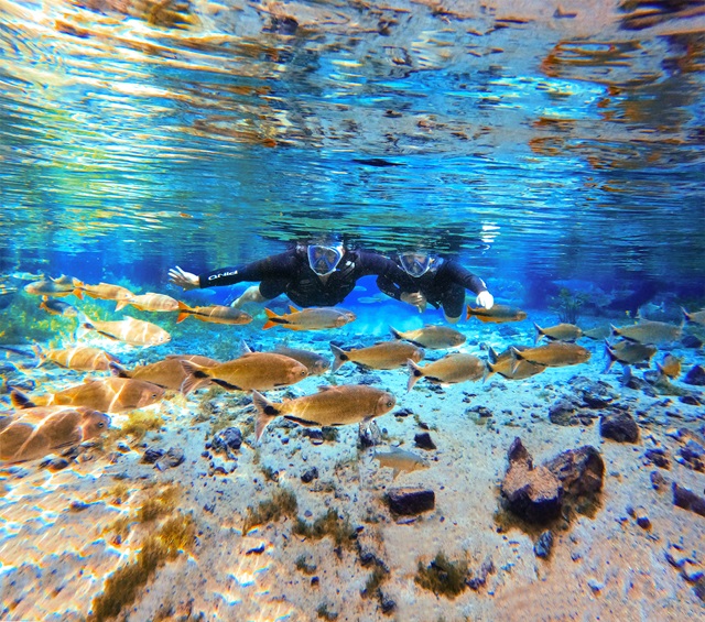 Bonito - Mato grosso do sul