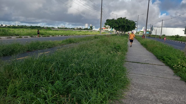 Avenida Noide Cerqueira f