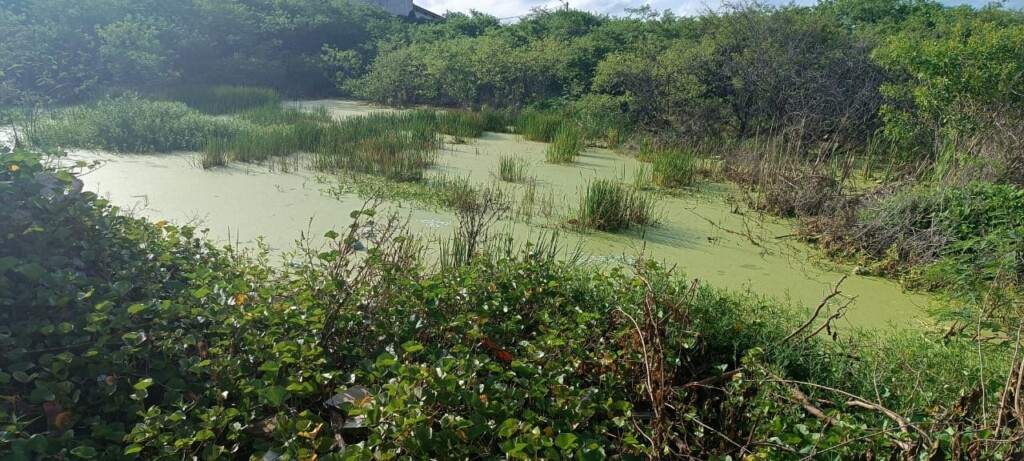 Ruas Graúnas e Iguajé no bairro Muchila ll fotos - Paulo José do Acorda Cidade16