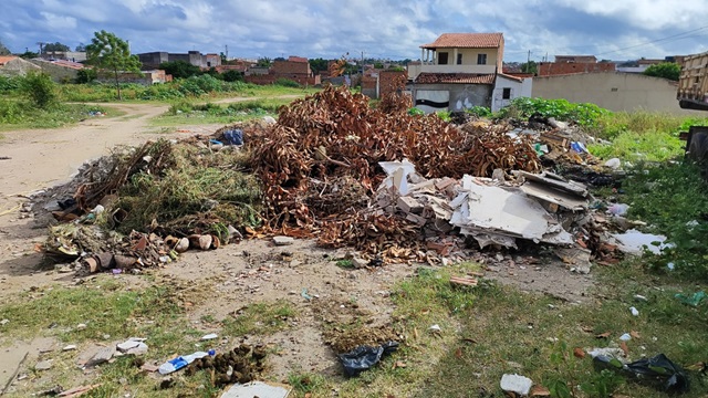 peçonhentos na mangabeira