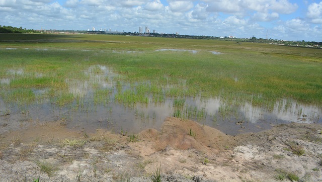 Lagoa Salgada passa por limpeza