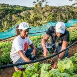 Edital que garante água para produção e cuidado animal - agricultura