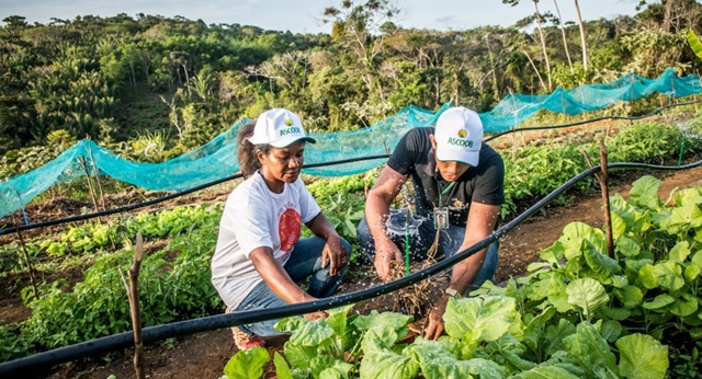 Edital que garante água para produção e cuidado animal - agricultura