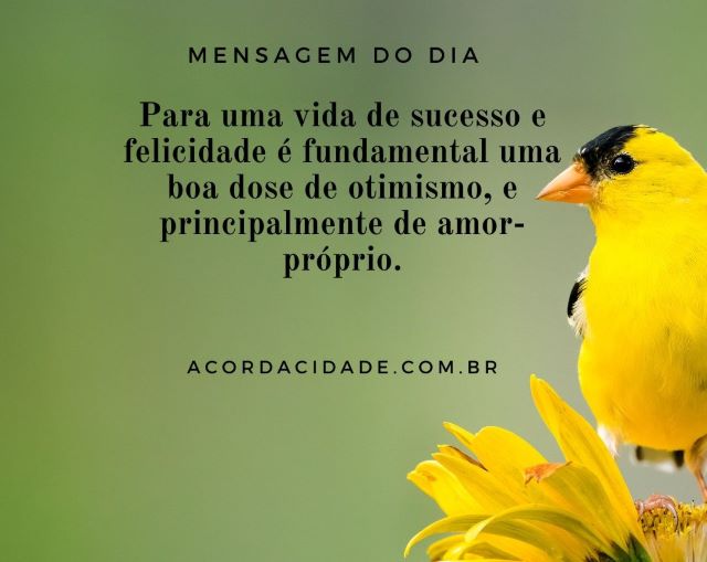 Para uma vida de sucesso e felicidade é fundamental uma boa dose de otimismo, e principalmente de amor-próprio.