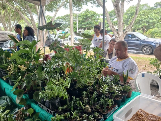 Feira “Saberes e Sabores” marca o encerramento do Mês da mulher na Uefs