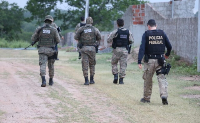 PM e PF desmontam roça de maconha em sítio usado de fachada como criação de caprinos e ovinos4