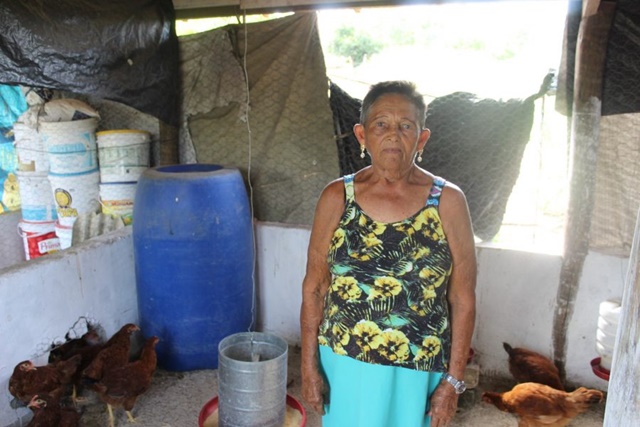 Criação de galinhas impulsiona segurança alimentar e geração de renda em Irará