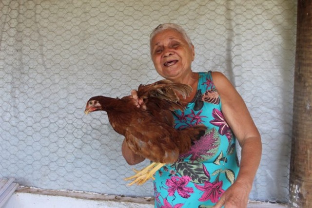 Criação de galinhas impulsiona segurança alimentar e geração de renda em Irará