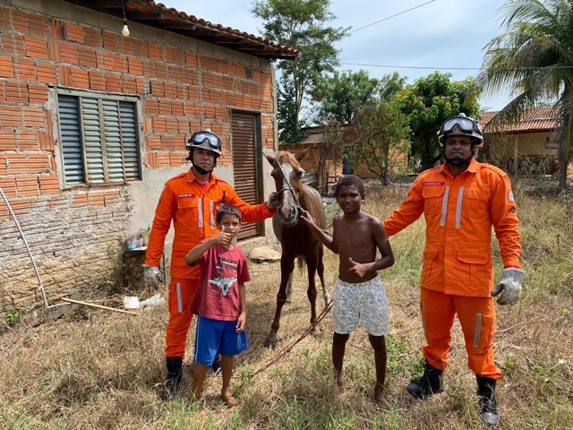 Bombeiros resgatam cavalo preso em fossa no povoado Conquista