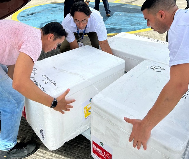 Distribuição de vacinas na Bahia