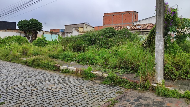 Avenida Maria Quitéria