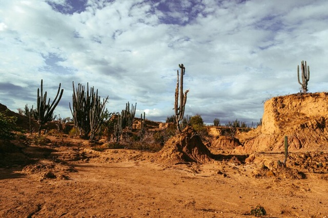 Bioma caatinga