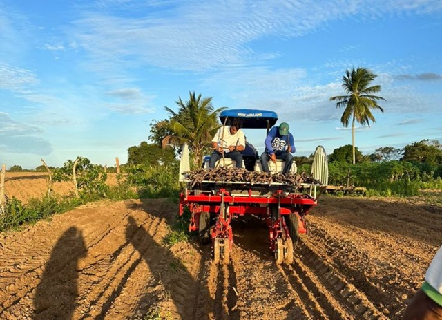 Agricultura