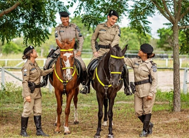 Cavalaria da polícia militar