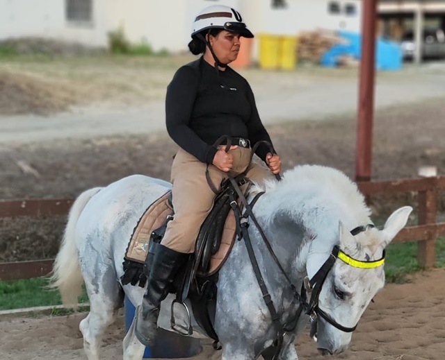 Cavalaria da polícia militar