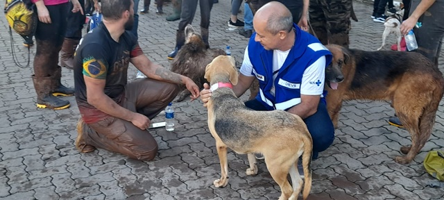 Profissionais de saúde baianos auxiliam no atendimento às vítimas das chuvas no Rio Grande do Sul