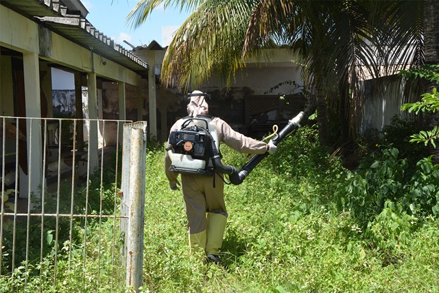 Dengue em Feira de Santana