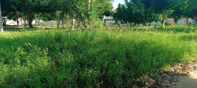 Praça Morada das Árvores