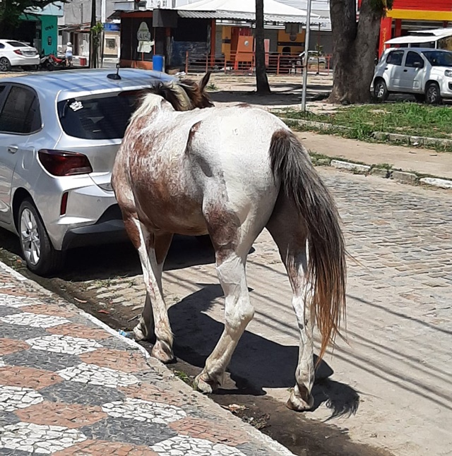 Praça Morada das Arvores